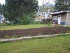 Kleingarten in 04552 Borna / Ost abzugeben